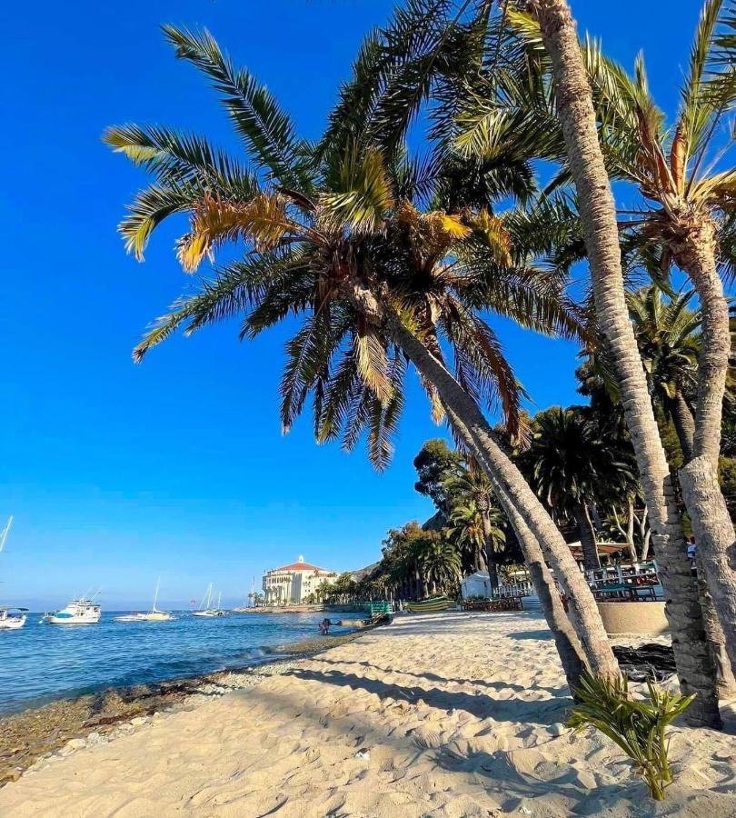 Gorgeous Oceanfront Villa With Panoramic Views อาวาลอน ภายนอก รูปภาพ