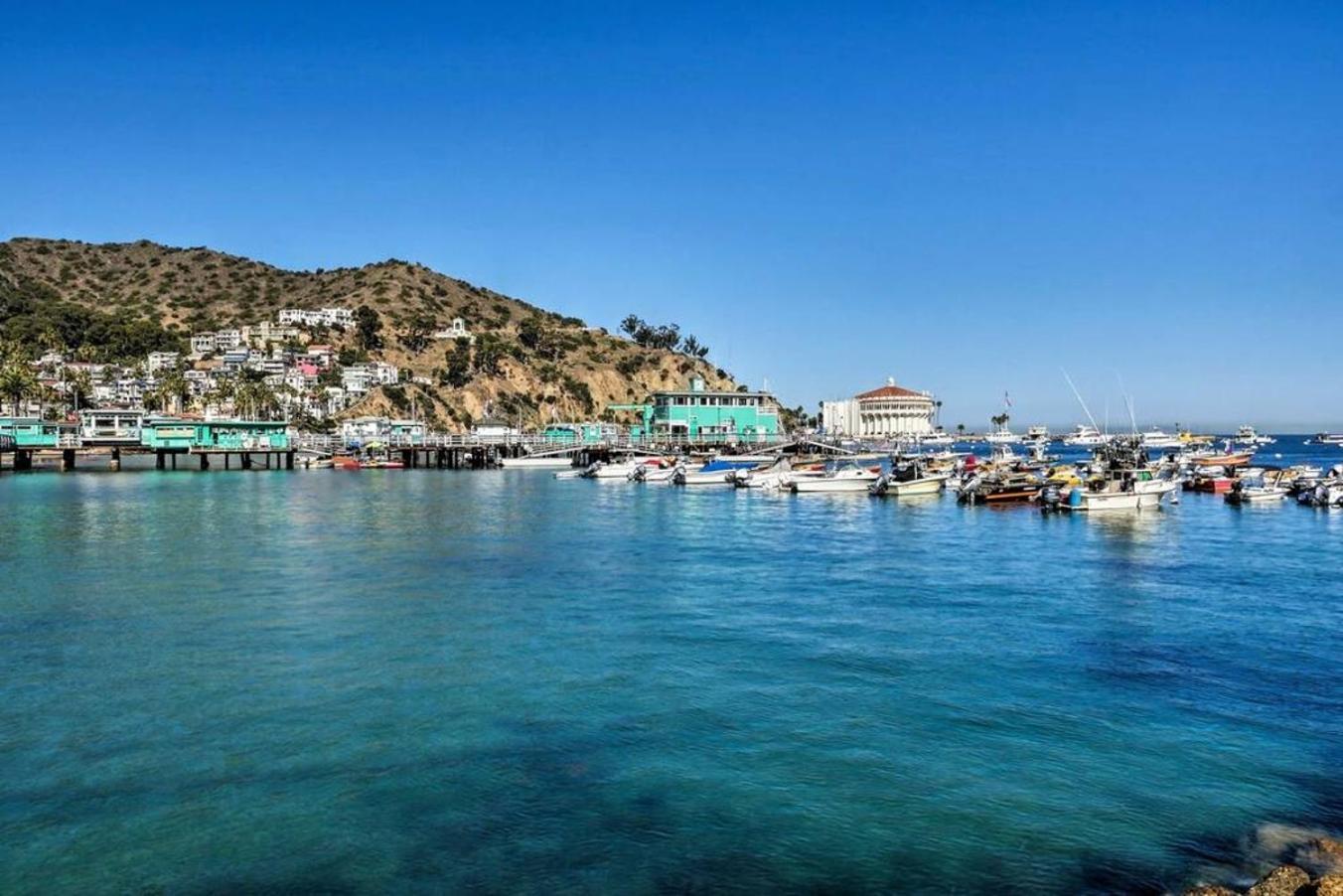 Gorgeous Oceanfront Villa With Panoramic Views อาวาลอน ภายนอก รูปภาพ